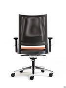 Rear view of the Expo Light chair with mesh backrest and height-adjustable lumbar support