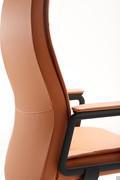 Maeva chair - ergonomic backrest that curves to follow the natural shape of the back, offering excellent seating comfort
