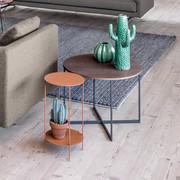 Coffee table Bali with Fashion Wood Terra oak top and matte lacquered metal frame