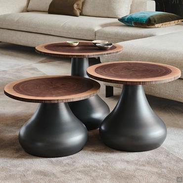 Coffee table with top formed from a section of Rio walnut trunk by Cattelan, graphite base