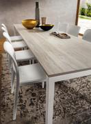 Detail of the table in arctic oak HPL