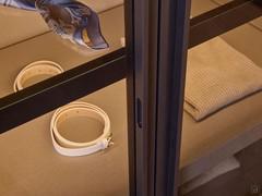 The metal door frame gently accommodates the integrated handle