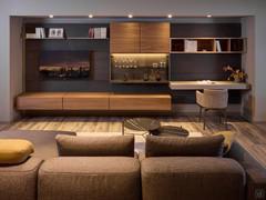 Storage wall with integrated writing desk Freehand 13 outlet to furnish an entire living room wall in modern, industrial style