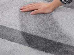 Patterned rug with pronounced nap effect
