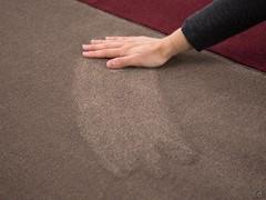 Rug with pattern and a soft nap effect