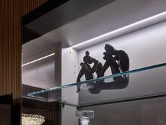 Detail of the suspended showcase with integrated LED light