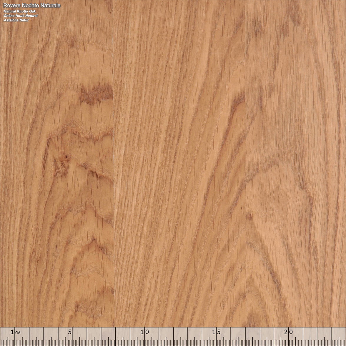 Holz