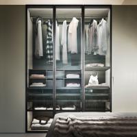 Armoire à portes battantes en verre Boutique d'une élégante finition en gris transparent.