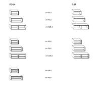 Bibliothèque Betis - Modèles et Dimensions du compartiment ouvert