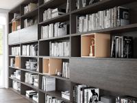 Libreria modulare a parete con vetrine Aliant 07, resa unica da un'ampia scelta di accessori e finiture