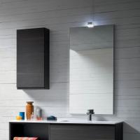 Specchio per bagno con luce applicata Wap cm 50 h.105 con faretto Point