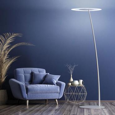 Antigua curved floor lamp in metal and glass