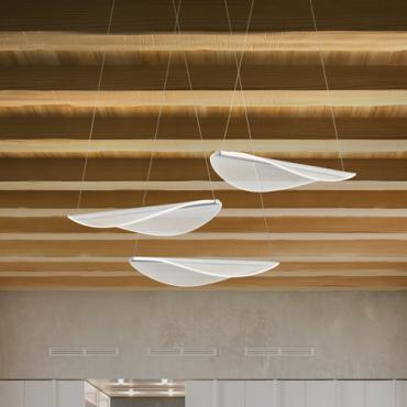 Diphy modern leaf-like pendant light by Linea Light