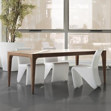 Fashion dining table with solid wood structure