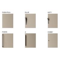 Models of handle for the hinged wardrobe with Focus double door