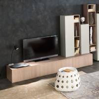 Plan cabinet composition serving as TV cabinet as well 