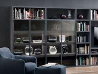 Aliant p.32 modular bookcase with doors with two clear crystal glass display cases