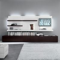 Plan big living room shelf, model with back panel and lights