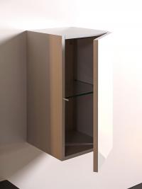High and thin wall unit with hinged door, inside we can fine a dividing shelf