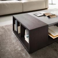 Copenaghen coffee table with an open compartments 