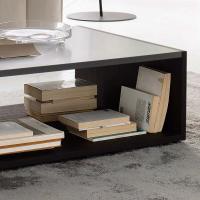 Copenaghen coffee table with an open compartments 