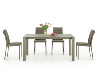 Adrian table with taupe frosted glass top and matching metal painted legs (frosted glass no longer available)