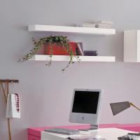 Almond custom cut shelf made with nontoxic paint and "Silver Defence" addictive with antibacterial features