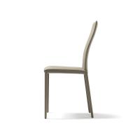Detail of the ergonomic profile of Kay chair by Cattelan