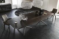 Atlantis dining table with shaped wooden top by Cattelan