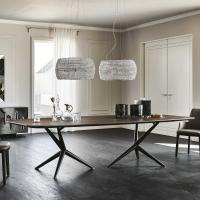 Atlantis wooden shaped top dining table by Cattelan
