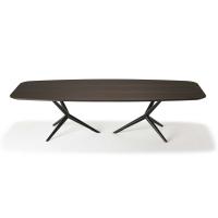 Atlantis design dining table with wooden top