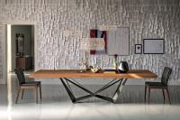 Skorpio rectangular table for the living room