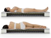 Ergonomy of the Basic Spring mattress 