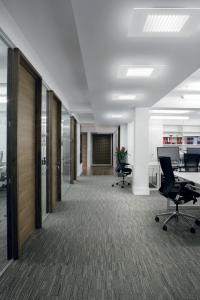 Dublight ceiling lights ideal for office spaces