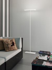 Dublight white LED floor lamp