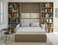 All-in bookcase with Blackjack wall bed