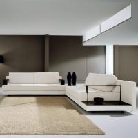Linear white Ibisco sofa in fabric with hide leather side table