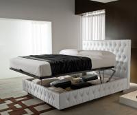 Lone upholstered bed with storage box and double lift up mechanism