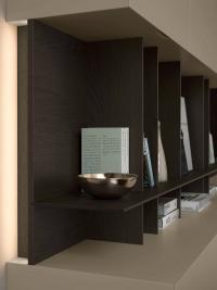 Open compartment in matt lacquer (Canvas) and wall panel with oak-wood shelves (Carbon)