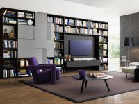Way 03 modern bookcase wall unit with hinged doors and glass dividing elements
