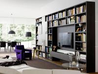 Way 03 modern bookcase wall unit with hinged doors and glass dividing elements