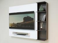 Smart wall mounted tv panel with DVD rack