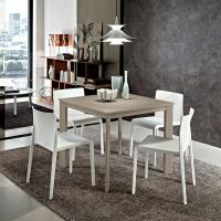 Albus modern square extendable table with Fenix Castoro top and matching lacquered metal frame