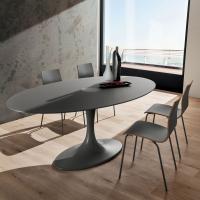 Dudley oval dining table with grey matt lacquered tempered glass top