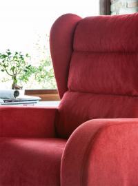 Detail of the armrests and padding of the back-rest with lumbar cushion and lateral "wings"