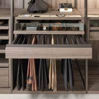Pull-out trouser rack with glass drawer above. Closing top shelf with sand hide-leather pocket emptier
