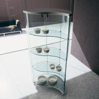 Oregina shaped display cabinet with transparent doors and structure. Aluminium matt lacquered top and bottom -no longer available