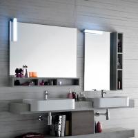 Wap rechteckiger Badezimmerspiegel mit Poppy Spotlight