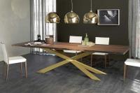 Rechteckiger Tisch mit unregelmäßigen Kanten in Massivholz Spyder von Cattelan