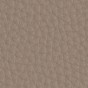 404 Taupe